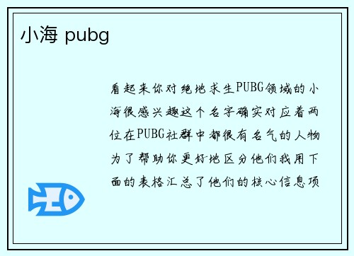 小海 pubg
